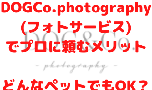 DOG＆Co.photography フォトサービス プロ 頼む メリット