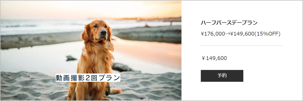 DOG＆Co.photography ペットフォト プラン料金