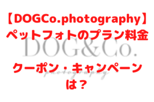 DOG＆Co.photography ペットフォト プラン 料金