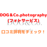 DOG＆Co.photography　フォトサービス　口コミ　評判