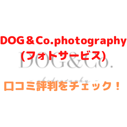 DOG＆Co.photography　フォトサービス　口コミ　評判